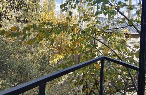 Hunza Chalet De Esquí | Zihin With Forest View - Cloud Nine And a Half