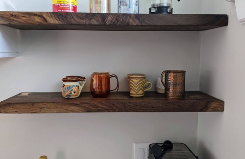 Zilker Casa | Zilker Canopy Bungalow