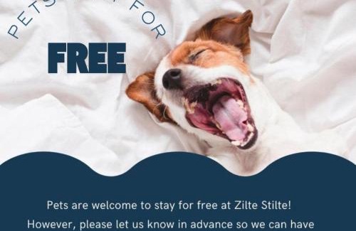 Vogelzang Apartamento | ZILTE STILTE