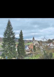 Kirschhausen Apartamento | Zimmer für 2 Monteure in Heppenheim Kirschhausen