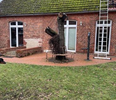 Platschow Apartamento | Zimmer in Ferienhäusschen am See / Karstädt