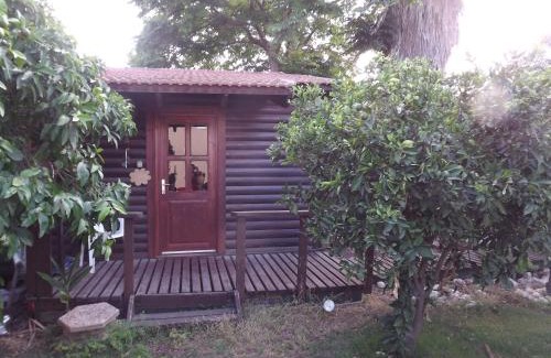 Karmiel Casa | Zimmer In The Garden