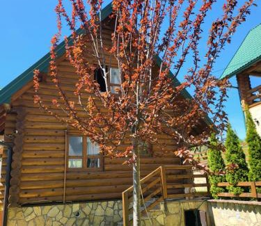 Ciganska Mahala Chalet De Esquí | Zlatar Luxury Chalet - TRACE OF NATURE 2214