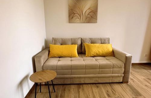 Divcibare Apartamento | Zlatni apartman Borovi