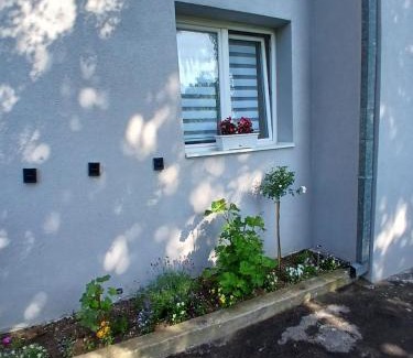 Central Serbia Apartamento | Zlot ,Maljenik, Zlotske pecine
