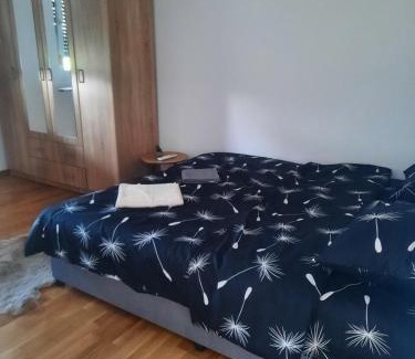 Mladenovac Apartamento | Zmaj LUX