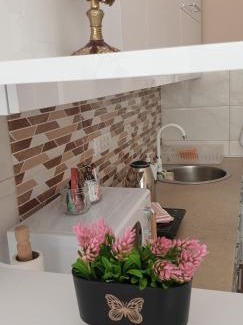 Vrsac Apartamento | ZOE apartment
