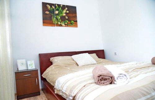 Vrdnik Apartamento | Zoja