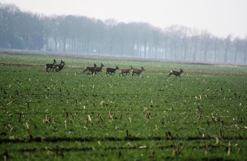 Ommen Casa | Zonnehuus