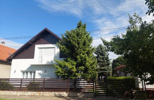 Vrbas Apartamento | Zorica House Vrbas