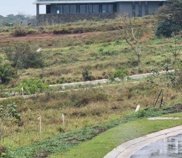 Salt Rock Casa | Zululami dinning