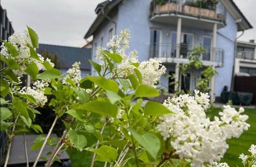 Weißenthurm Apartamento | Zum schönen Ausblick
