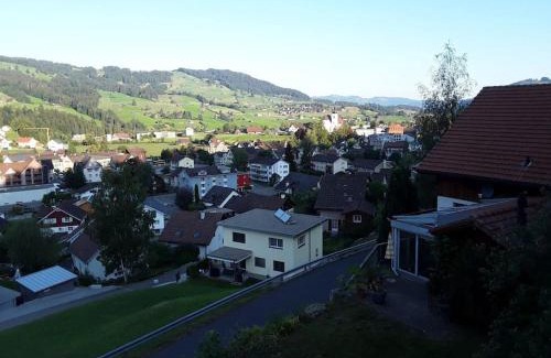 Neu St Johann Apartamento | Zwinglis Ferienwohnung Rosi
