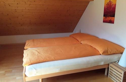 Neu St Johann Apartamento | Zwinglis Ferienwohnung Rosi