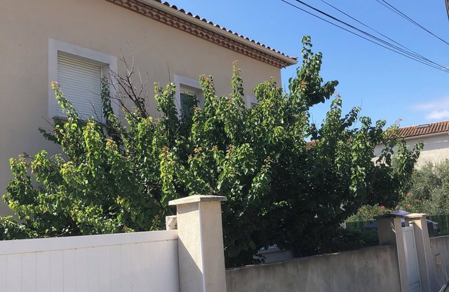 Étage Dune Villa T4 Avec Jardin