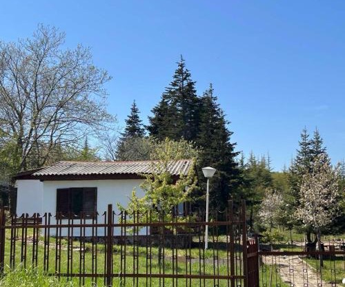 Бунгала Виктори Victory Bungalows