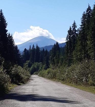 Говерлянка