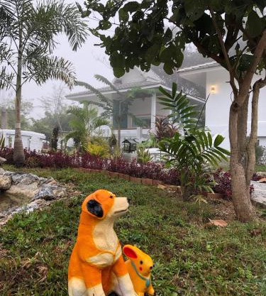 ปันดีเต็มวง Pandeethemwong