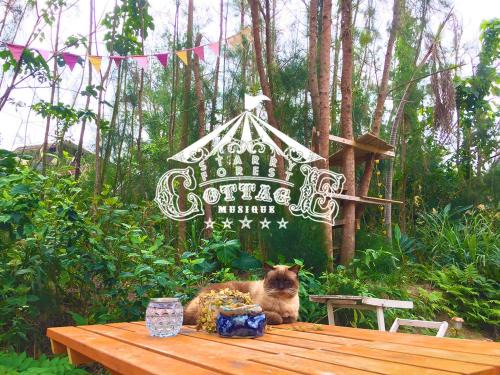 猫とピアノと星空のリゾートブティックコテージ -Starry Forest Cottage Okinawa-