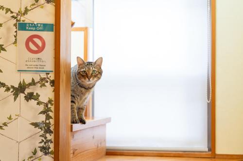 香川のゲストハウスFDroom
