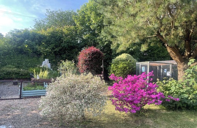 Lovely Shepherds hut in Cornwall