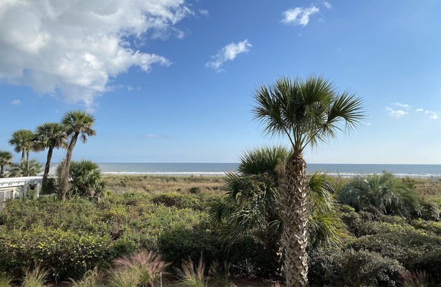 138 BREAKERS, Direct Oceanfront - ¡Las mejores tarifas y GRANDES comentarios!