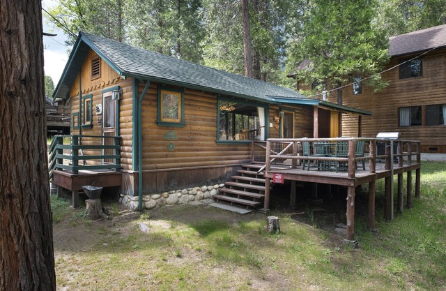 Chipmunk Hollow - ¡Pon tu naturaleza en marcha!