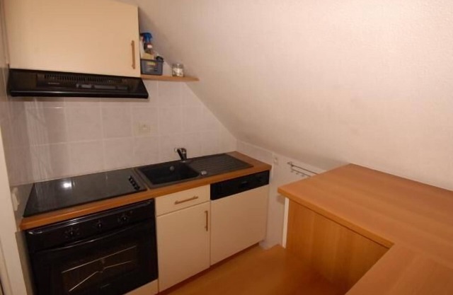 30m del centro estación, 3.o piso, vista pistas, fitness, piscina, sauna, tv, local para esquís