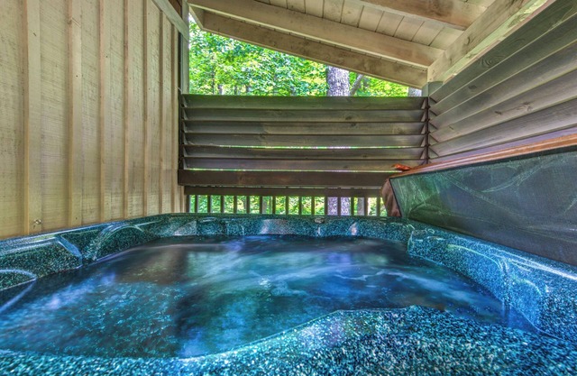 1BR, hot tub, jacuzzi. Free attraction tickets!