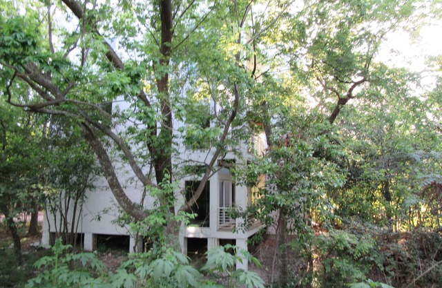 1st Flr Apt en Native Woods, junto a Bayou Trails, Washington St / Heights Area