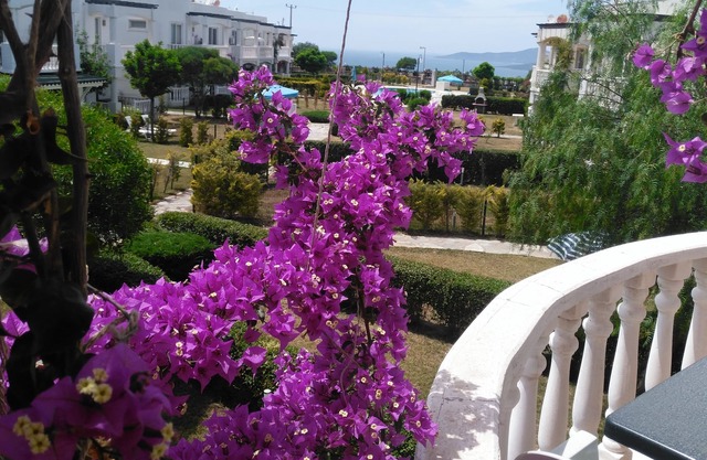 2+1 Apartment (D), with Sea and Lake View in Bodrum Flamingo