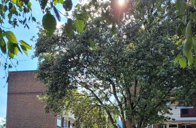 2 Bed Apartment | Central London | Balcony | WIFI
