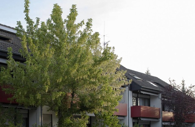 Apartamento de 2 camas 31m² - Haus Tannenhof