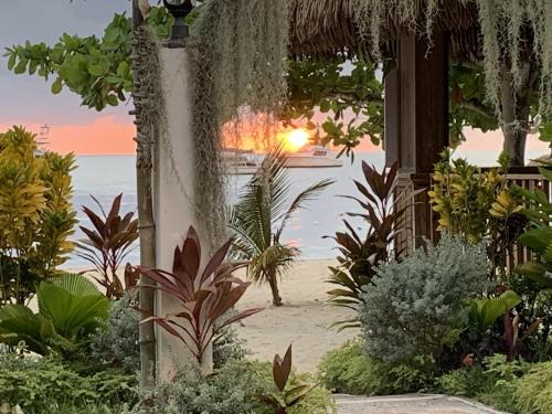 2-bedroom Apt in an Ocean Front Resort in Jamaica - Enjoy 7 miles of White Sand Beach! apts