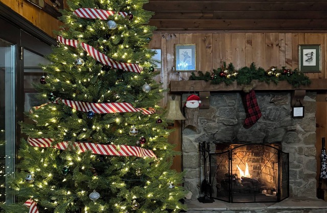 2BR, 2 BA rustic mountainside cabin near Boone and Blowing Rock