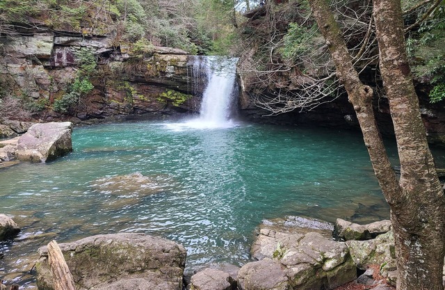 Sherman Chalet, UPSCALE 2BD / 2BA en Fall Creek Falls