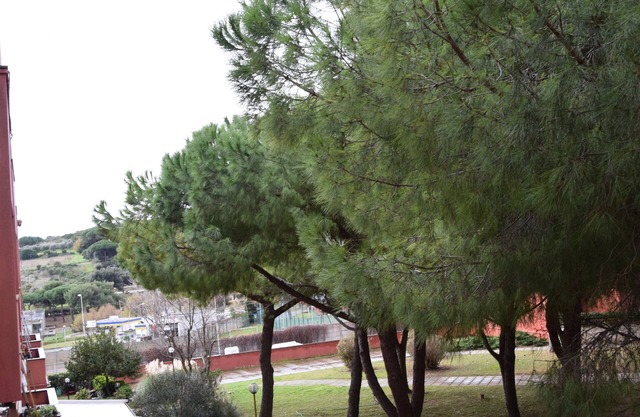 2 minutes from the sea Family apartment with terraces.