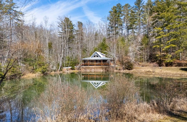 2 Private Homes w/ Pond, Views & Fire Pit + Biltmore Pass | Pet-Friendly