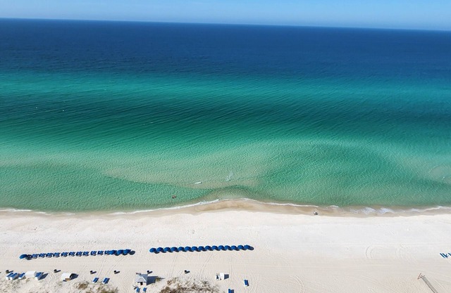 25th Floor Stunning Beach Front Views - Fully Renovated April 2023!