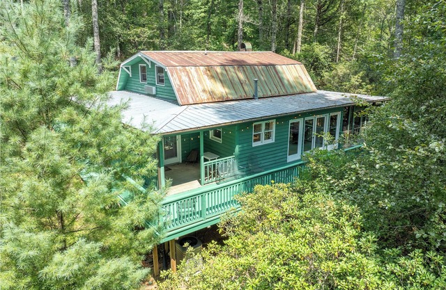 3 Bedroom Dog-Friendly Cabin Near Dupont State Forest