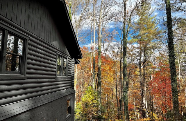 3 BR 2 BA Cabin on 8 acres of privacy only 10 miles from Asheville