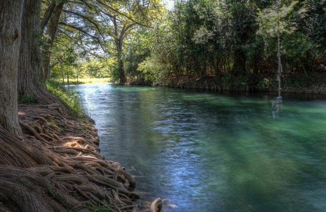 4-bedroom house in Utopia with 450’ of private crystal clear Sabinal river front