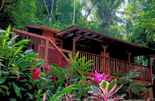 $ 99 - $ 124 a night, Private, cozy, home rental -watch the howler monkeys !