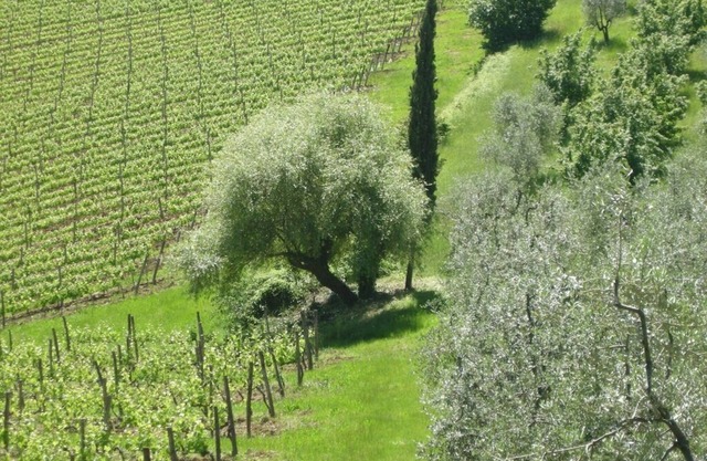 Una acogedora Villa Toscana, con impresionantes vistas sobre el Chianti Hills Cerca de Florencia