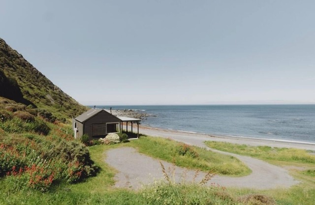Abigail Bay Bach Wellington