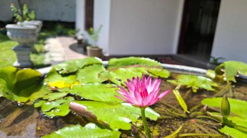 Aetos Wellness - Tangalle