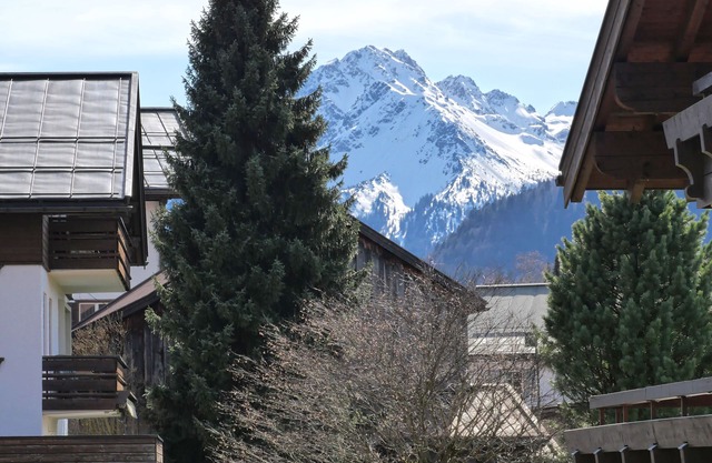 Alpenflair apartments Whg 312 "Bergfrühling"