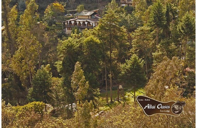 Altai Oasis Lodge