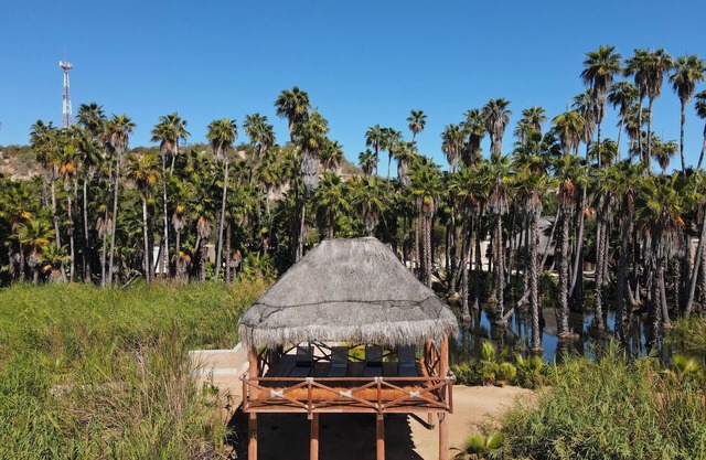Amet Nature Retreat