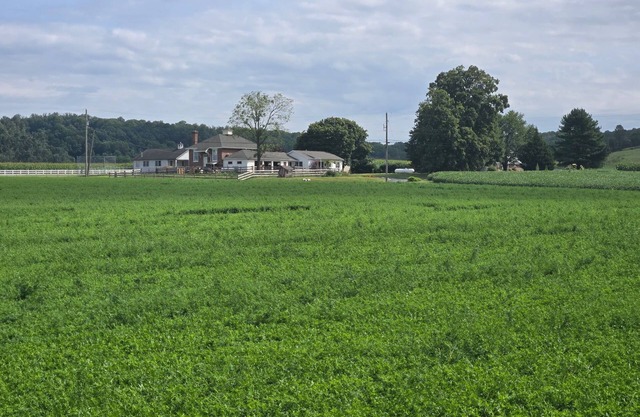 AMISH STAY W/HORSE AND BUGGY RIDES/ALSO BOUNCE HOUSE WATER SLIDES